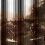 AKUSTIČNI PANELI FN ACUSTICO DIGI FOOD & DRINK 