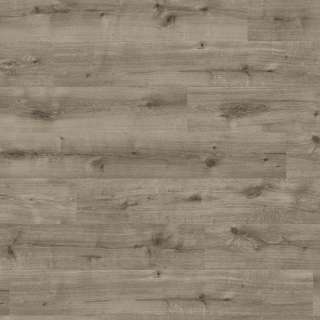 LAMINAT  8mm/Kl.32 HARO DAILY EDITION 541 345x HRAST CALLA GREY p=1,98 m2 
