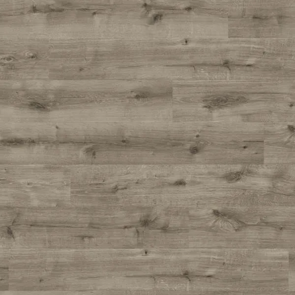 LAMINAT  8mm/Kl.32 HARO DAILY EDITION 541 345x HRAST CALLA GREY p=1,98 m2 