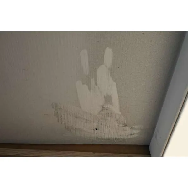 VRATA SA SKRIVENIM PANTIMA I MAGNETSKOM BRAVOM CPL UNUTARNJA Cpl 0011 Bijela, 77x200x15 cm, L 