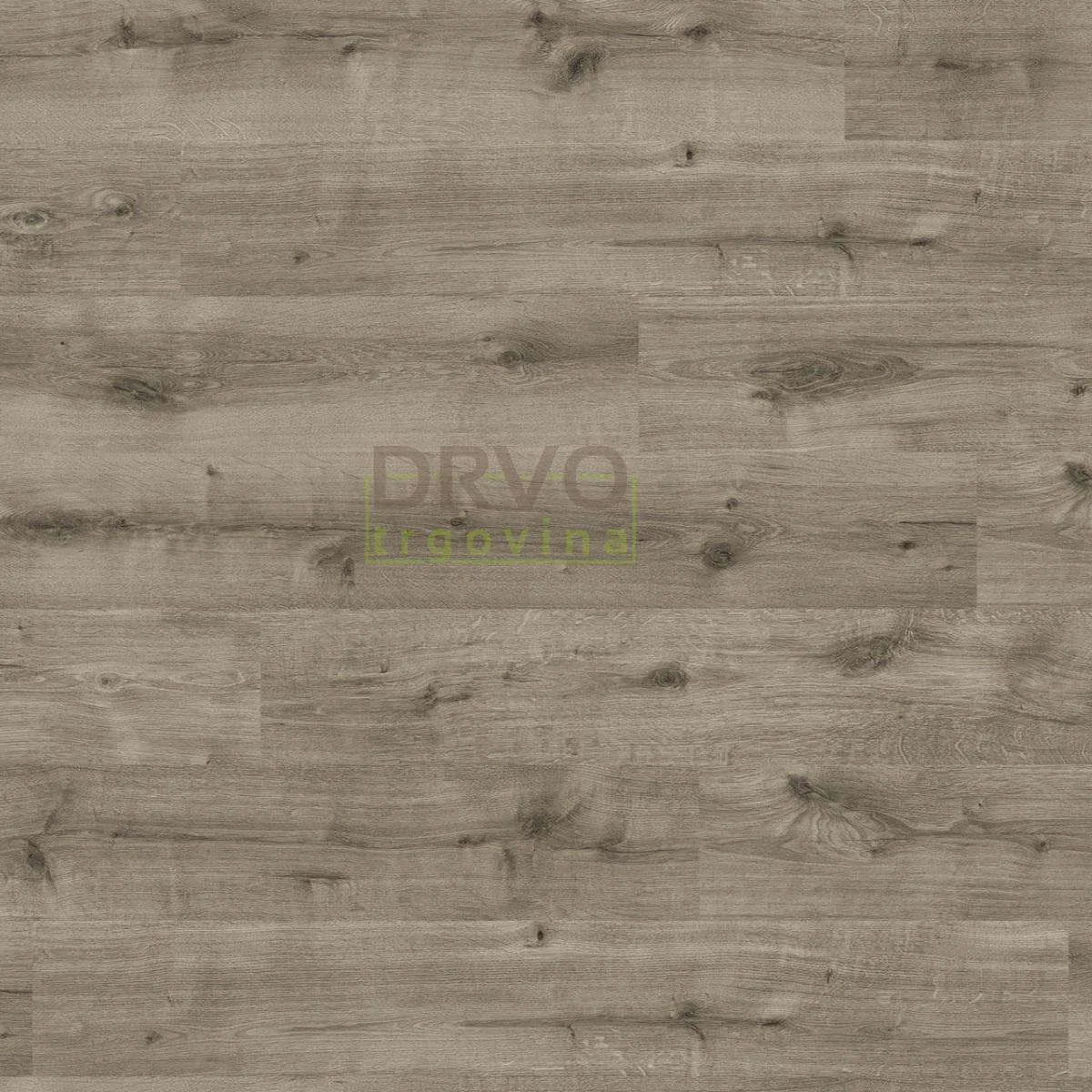 LAMINAT  8mm/Kl.32 HARO DAILY EDITION 541 345x HRAST CALLA GREY p=1,98 m2 